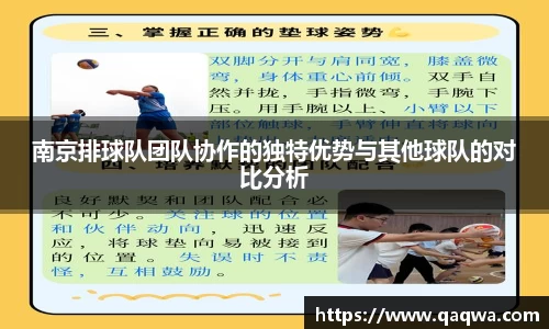 南京排球队团队协作的独特优势与其他球队的对比分析