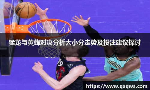 猛龙与黄蜂对决分析大小分走势及投注建议探讨